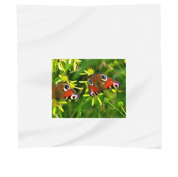 2 Peacock Butterflies Perched On Yellow Flower In Close Up Photography During Daytime Scarf