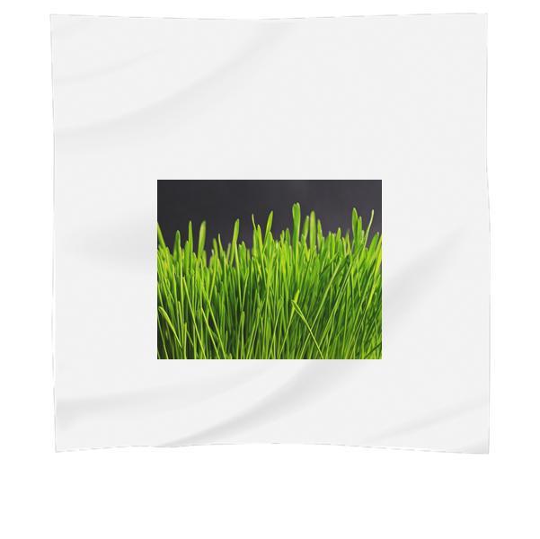 Nature Plant Green CloseUp Scarf