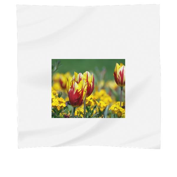 Red And Yellow Flowers During Daytime Scarf