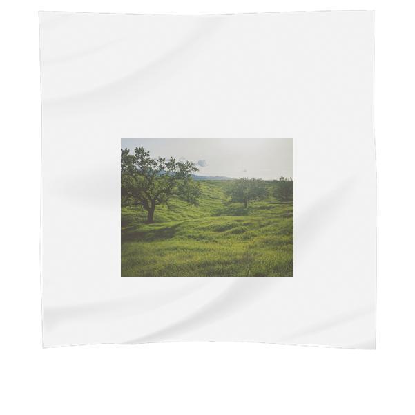 Green Grass And Tall Trees During Daytime Scarf