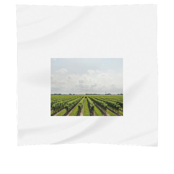 Nature Sky Clouds Agriculture Scarf