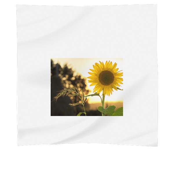 Sunflower During Sunset Scarf
