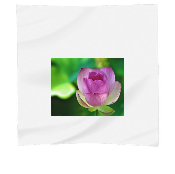 Nature Petals Flower Macro Scarf