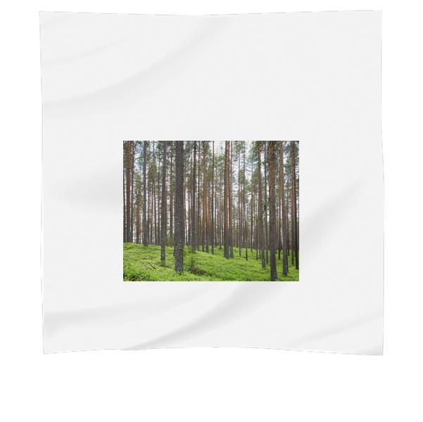 Green Leaf Trees And Green Grass Field During Daytime Scarf