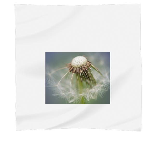 Close Up Photography Of Dandelion Scarf