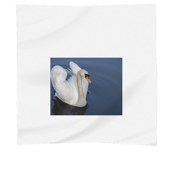 White Swan On Body Of Water During Daytime Scarf