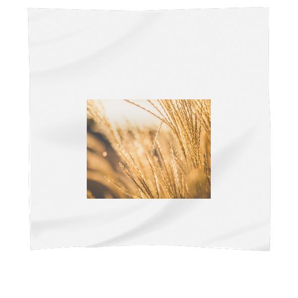 Brown Leaf Plant During Sunset Scarf