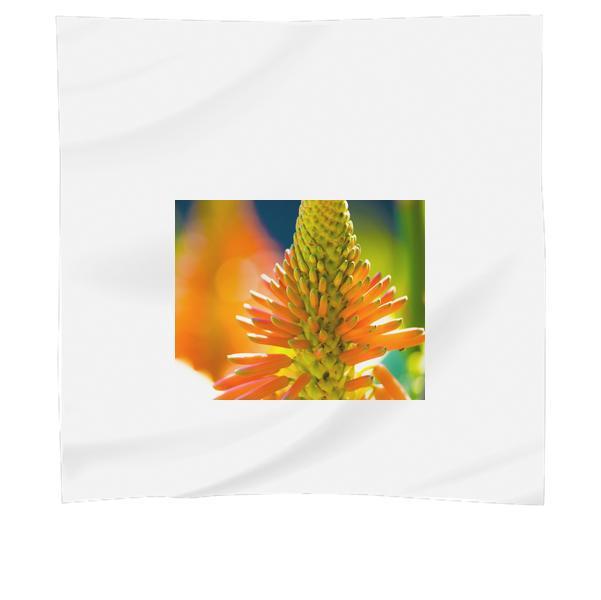 Orange Petaled Flower Macro Photography Scarf