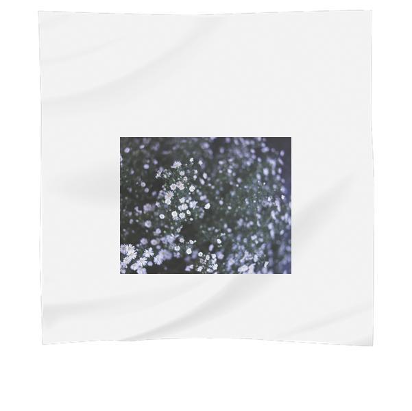 CloseUp Of Flowers Scarf