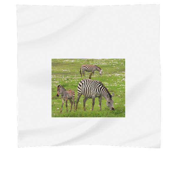 Photo Of Zebra On Green Grass Field Scarf
