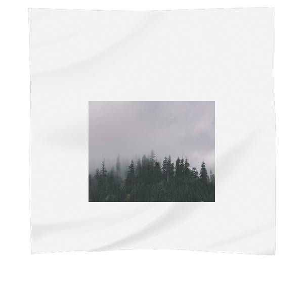 Green Tree Under Cloudy Sky During Daytime Scarf