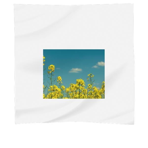 Yellow Flowers Under Partly Cloudy Skies During Daytime Scarf