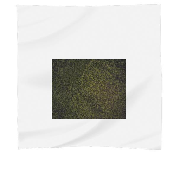 Landscape Nature Forest Trees Scarf