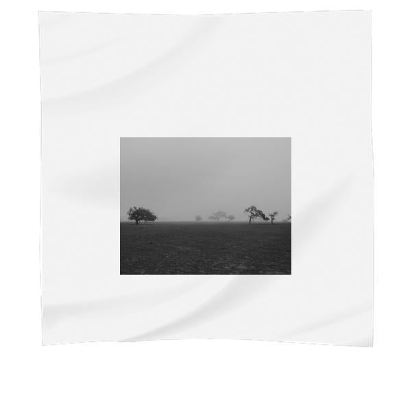Trees On Field Grayscale Photo Scarf