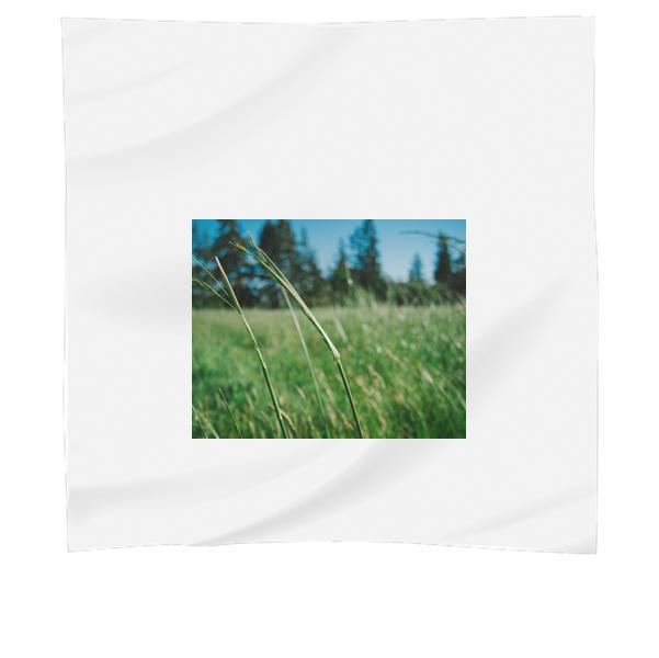 Nature Sunny Field Summer Scarf