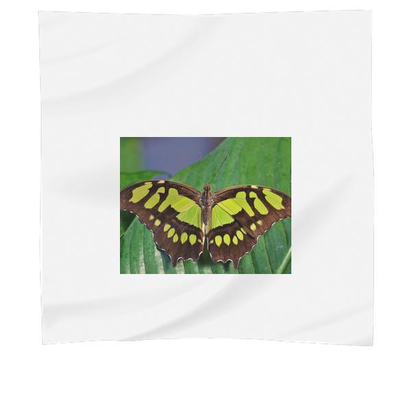 Nature Animal Leaf Insect Scarf