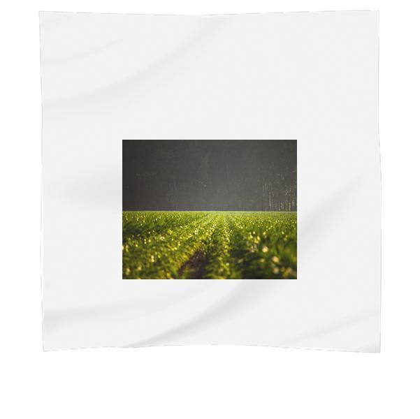 Nature Field Forest Agriculture Scarf