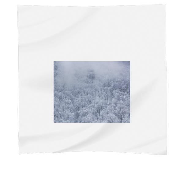 Frozen Trees During Daytime Scarf
