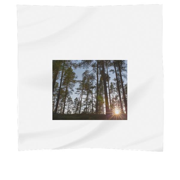 Green Trees Under Blue Sky During Daytime Scarf