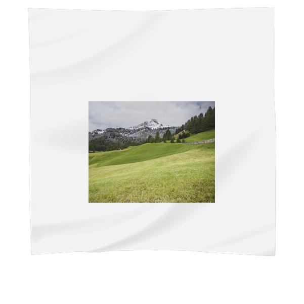 Green Grass Near Green Trees During Daytime Scarf