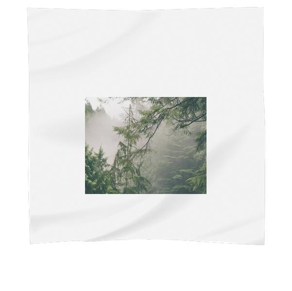 Green Leaf Tree And White Smoke During Daytime Scarf