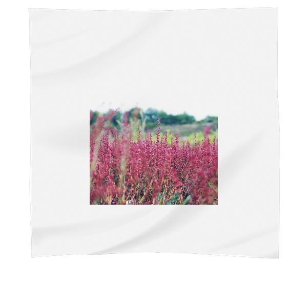 Pink Flower Bloom During Daytime Scarf