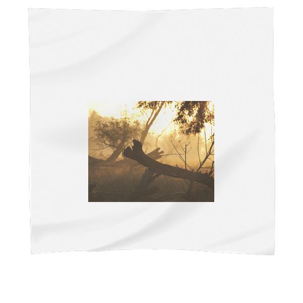 Brown Tree Trunk On Grass During Sunset Scarf