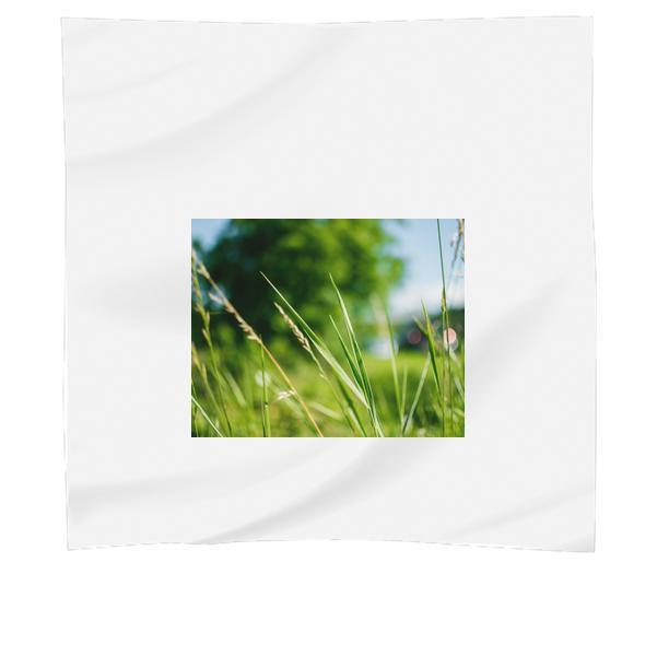 Green Grass During Daytime In Focus Photography Scarf