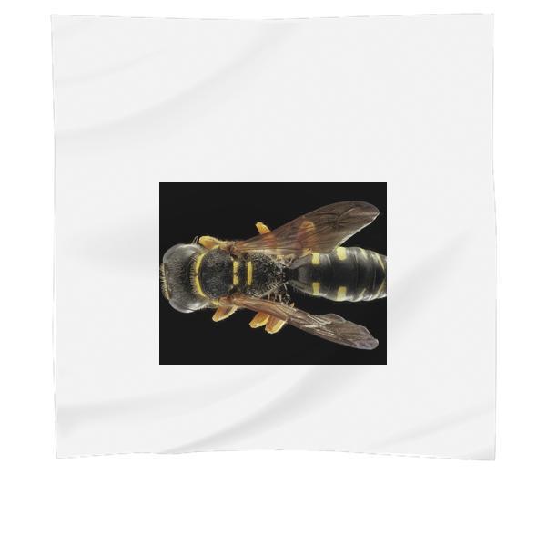 Nature Bee Insect Macro Scarf