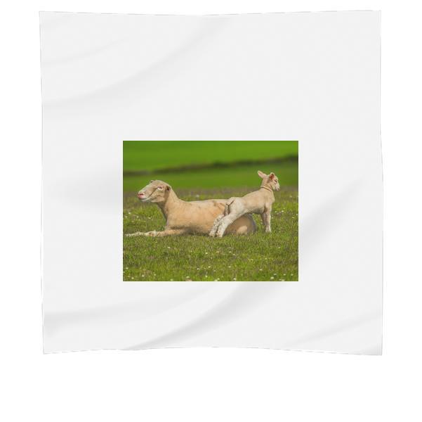 Nature Grass Meadow Animals Scarf