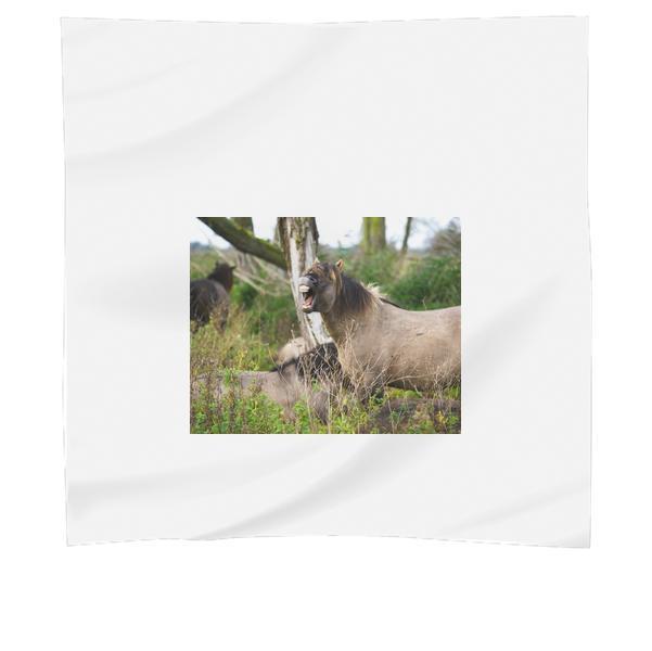 Nature Animals Horses Wildlife Scarf