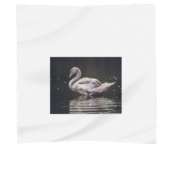 Gray Swan Swimming In The Water During Daytime Scarf