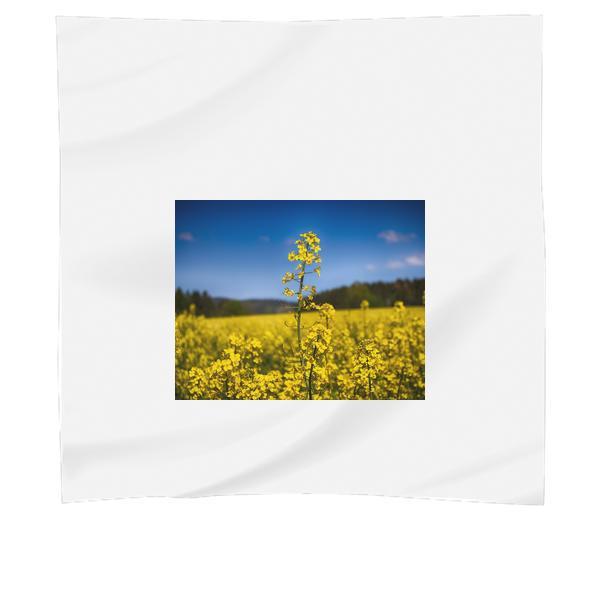 Nature Sunny Field Plants Scarf