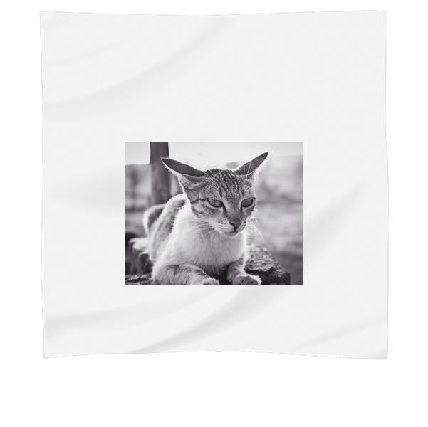 Grayscale Photo Of White And Black Tabby Cat Scarf