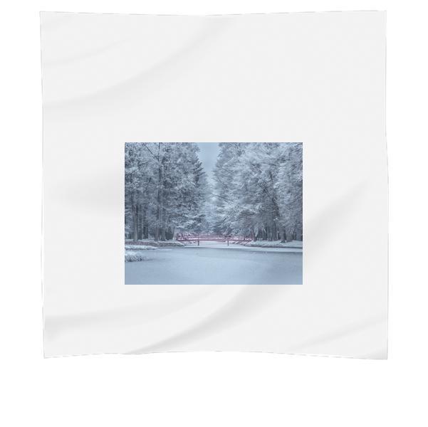 Frozen Trees During Winter Scarf