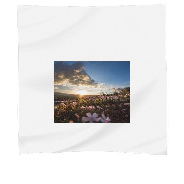 White Flowers During Daytime Scarf