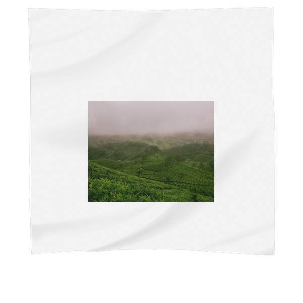 Landscape Mountains Nature Field Scarf