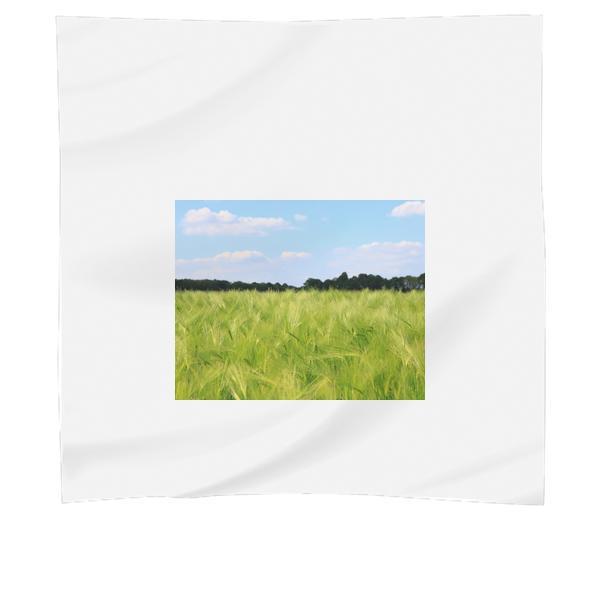 Landscape Nature Sky Field Scarf