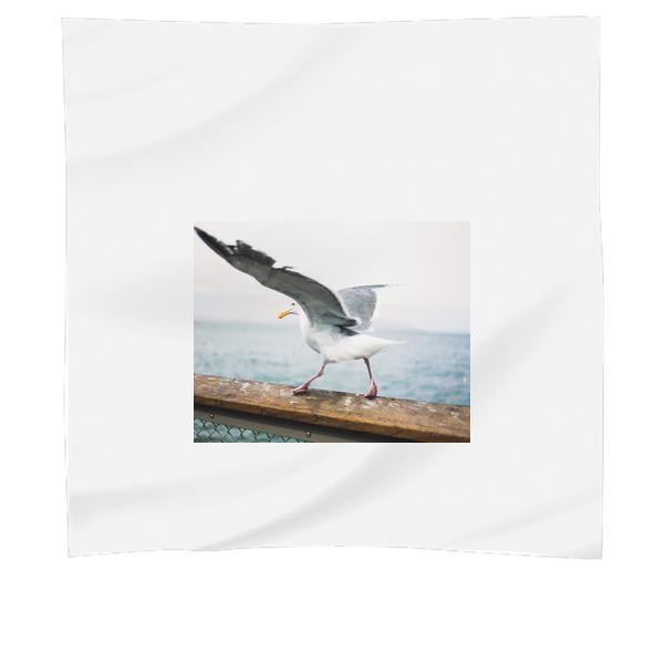 White And Brown Feather Bird On Hard Rail Scarf