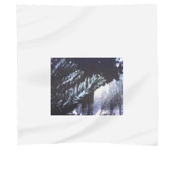 CloseUp Of Pine Trees In Forest During Winter Scarf