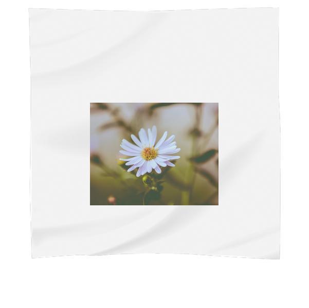 CloseUp Of Cosmos Flower Scarf