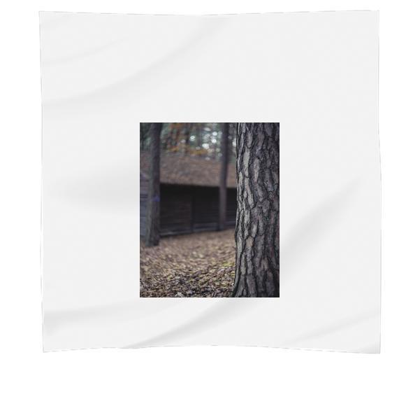 CloseUp Photo Of Tree Trunk In Forest Scarf