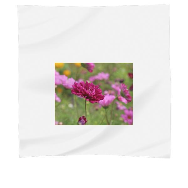 Red Petaled Flower Blooming During Daytime Scarf