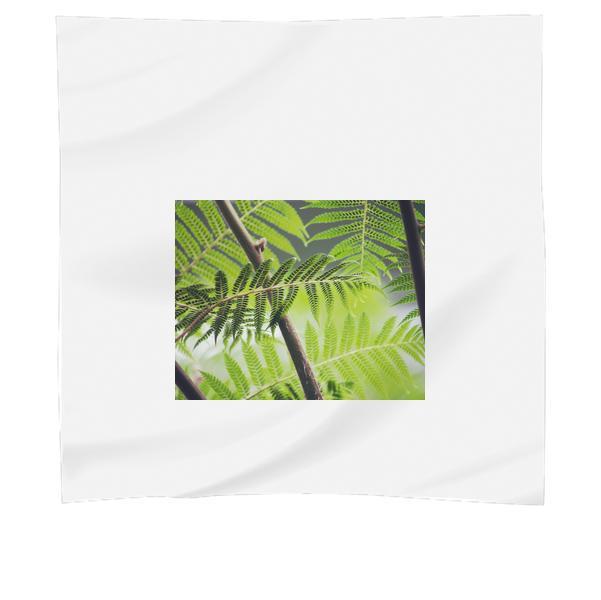 Green Leaf During Daytime Scarf