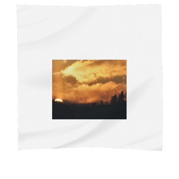 Silhouette Photo Of Trees During Sunset Scarf