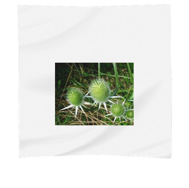 Nature Field Summer Garden Scarf