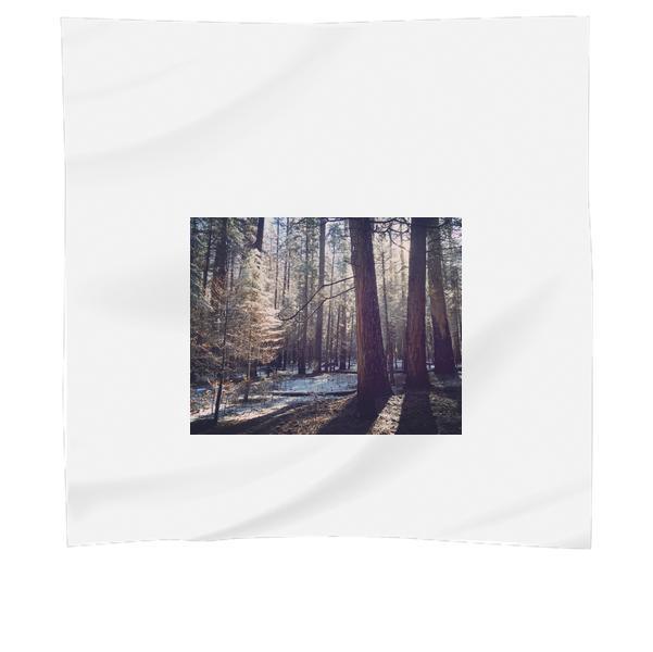 Green Leaves Trees During Daytime Scarf