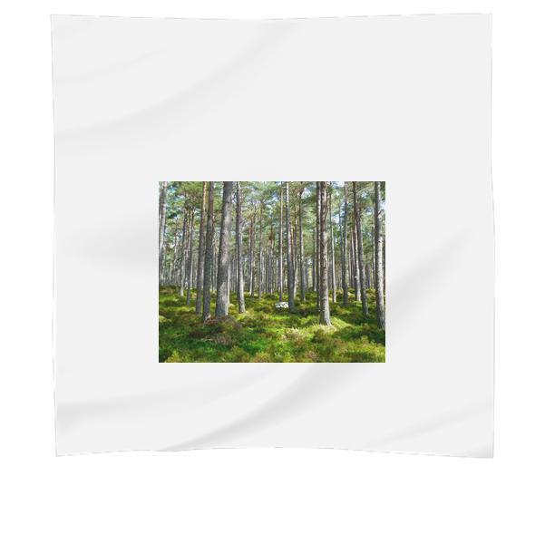 Green Trees On Green Grass During Daytime Scarf
