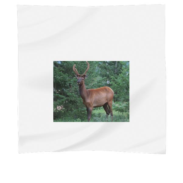 Brown Deer On Green Grass Field During Daytime Scarf