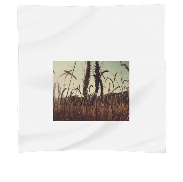 Nature Field Agriculture Cereals Scarf